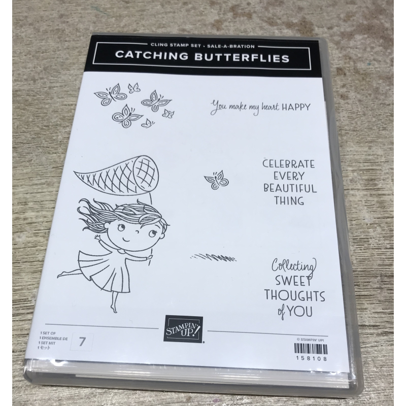 Catching Butterflies